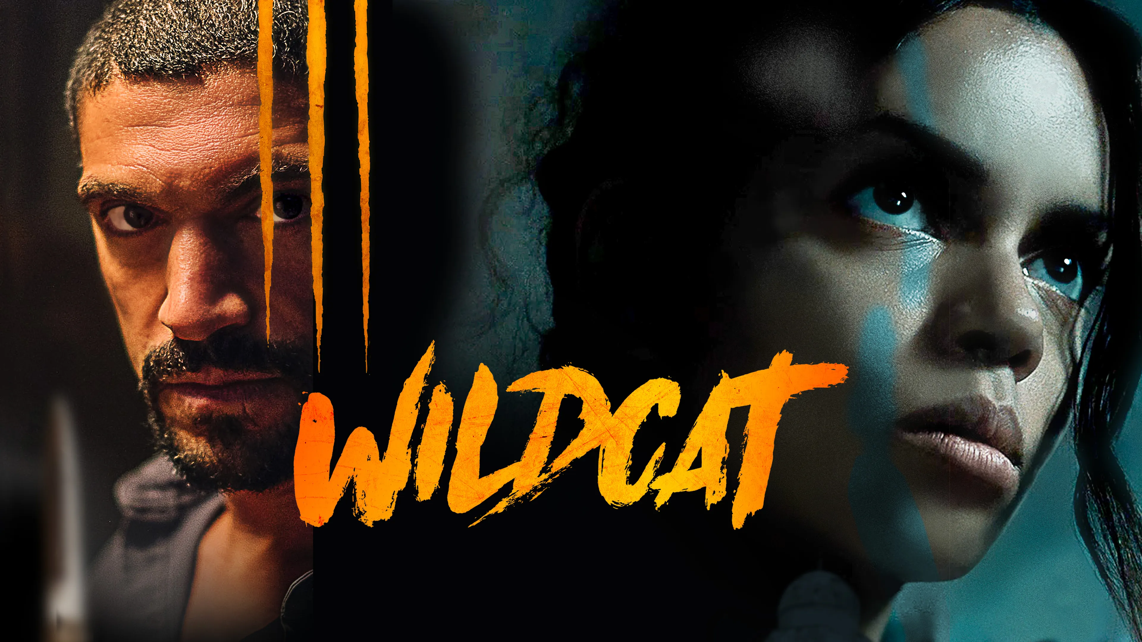 Wildcat poster